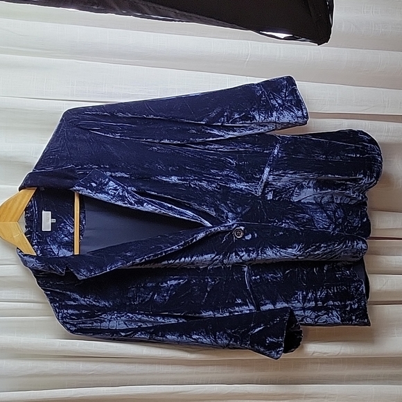 Ecru Blue Rayon-Silk Crushed Velvet Blazer Size M - Picture 1 of 8